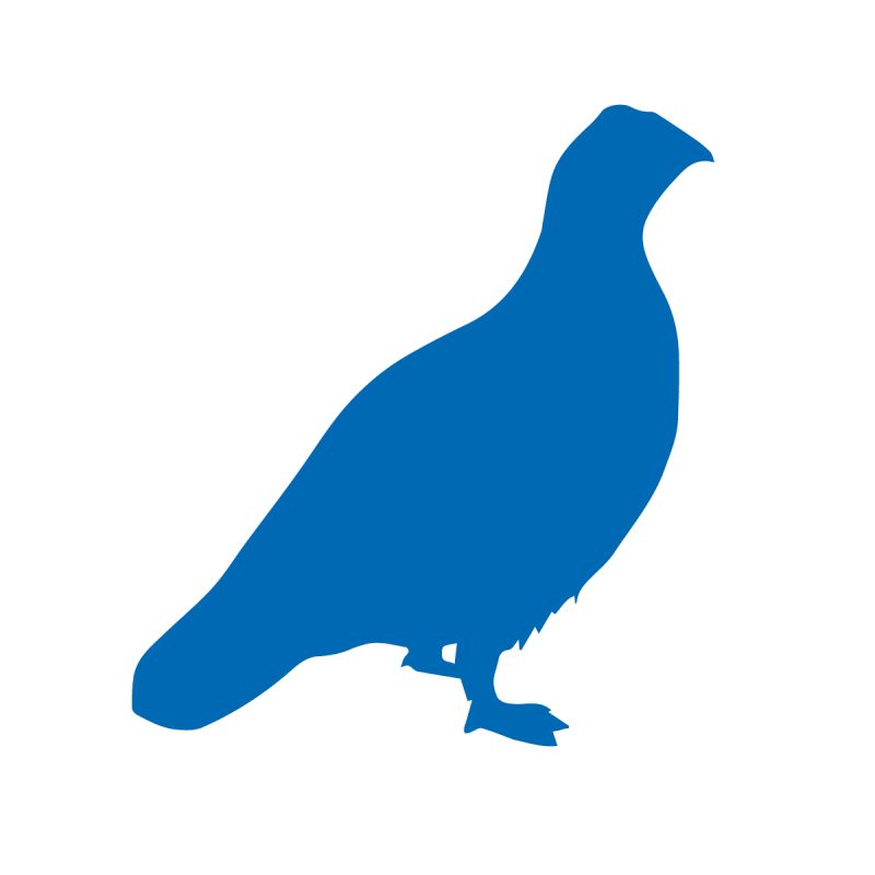 KO╠eR Symbol 2