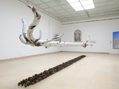 Exhibition View The Secret Life Of Plants And Trees Hori Izhaki Kunstpavillon 2024. Photo Daniel Jarosch51