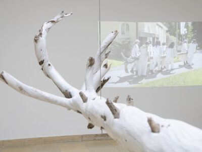 Exhibition View The Secret Life Of Plants And Trees Hori Izhaki Kunstpavillon 2024. Photo Daniel Jarosch54