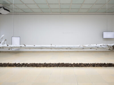 Exhibition View The Secret Life Of Plants And Trees Hori Izhaki Kunstpavillon 2024. Photo Daniel Jarosch64