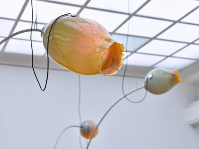 Bethan Hughes Hevea Act 6 Elastic Continuum 17 HP