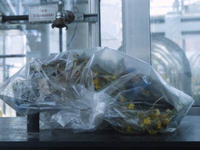 Videostill, Hevea Act 6 ©Bethan Hughes