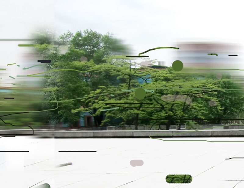 Fluid Realities Photography Detail Kl