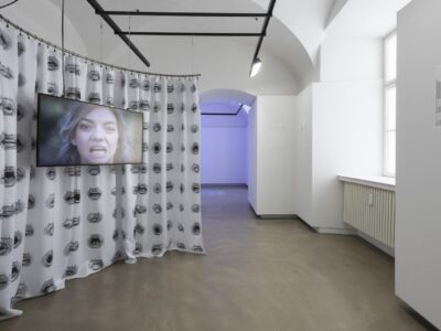 Ausstellungsansicht Lana Cmajcanin 2