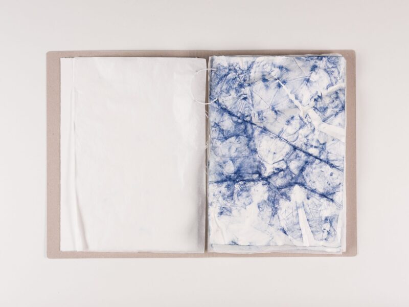 photo of an open file, left page white, right page blue lines on white paper