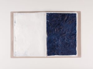 photo of an open file, left page white, right page dark blue