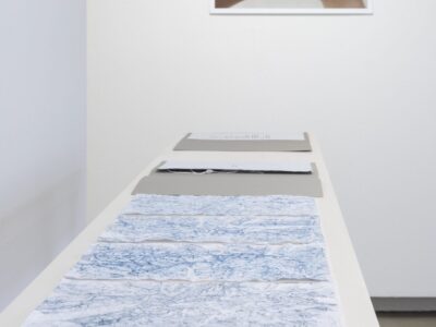 Foto Ausstellung Neue Galerie mit schmalen Tischen und weißen, blauweißen und blauen Blättern darauf, an der Wand ein Foto von einer Hand die in dunkles Blatt zerdrückt