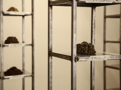 Corpse, close-up: 712 filed date cores by K. N., Mahsa Aleph, 2019