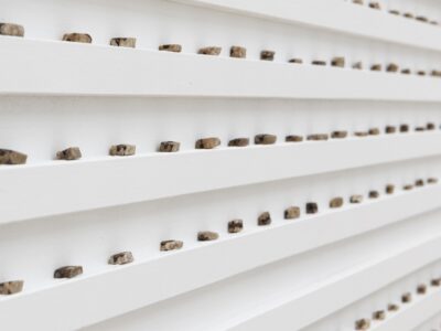 Foto Ausstellung mit Reihen aus weißen Leisten darauf liegen gefeilte Dattelkernen