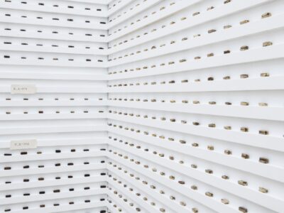 Foto Ausstellung mit Reihen aus weißen Leisten darauf liegen gefeilte Dattelkernen