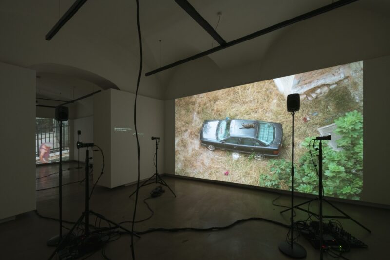 Photo exhibition with videos and text on the wall, speakers and small projectors on tripods on the floor