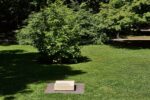 Photo of the exhibition at Kunstpavillon in the garden with a text on a low stand