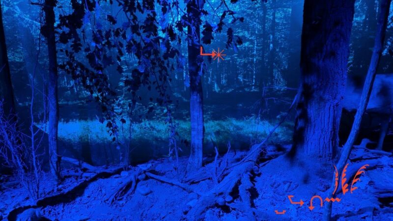 Bild eines Waldes mit blauem Licht, rote Linien auf dem Bild