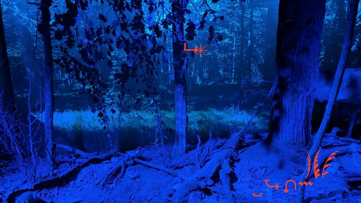 Bild eines Waldes mit blauem Licht, rote Linien auf dem Bild