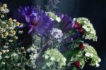 Photo of a bouquet of flowers against a black background