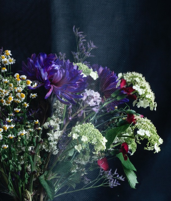 Fotos eines Blumenstraußes vor schwarzem Hintergrund