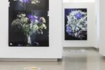 Foto Ausstellung mit Kreis am Boden und zwei Fotos von Bluemnstrüßen auf schwarzem Hintergrund an den Wänden