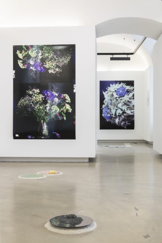 A photo of the exhibition featuring a circle on the floor and two photos of flower-lined streets on a black background on the walls
