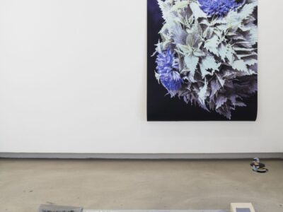 Foto Ausstellung mit Foto von Blumenstrauß vor schwarzem Hintergrund und Assemblage am Boden