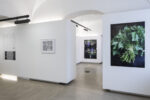 S Stern Presse 12.6.26 12
