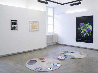 Exhibition View, Under Pressure. ΔS — Orders of Glass, Stephanie Stern, curated by Bettina Siegele, Neue Galerie 2026. Photo: Daniel Jarosch