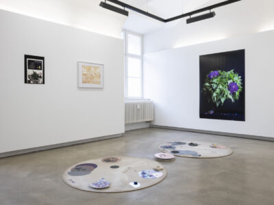 Ausstellungsansicht Under Pressure. ΔS — Orders of Glass, Stephanie Stern, kuratiert von Bettina Siegele, Neue Galerie 2026. Foto: Daniel Jarosch