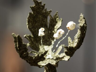 © Lucila Pacheco Dehne, For The Right to Stay, 2025. Photo: Maarten Nauw.